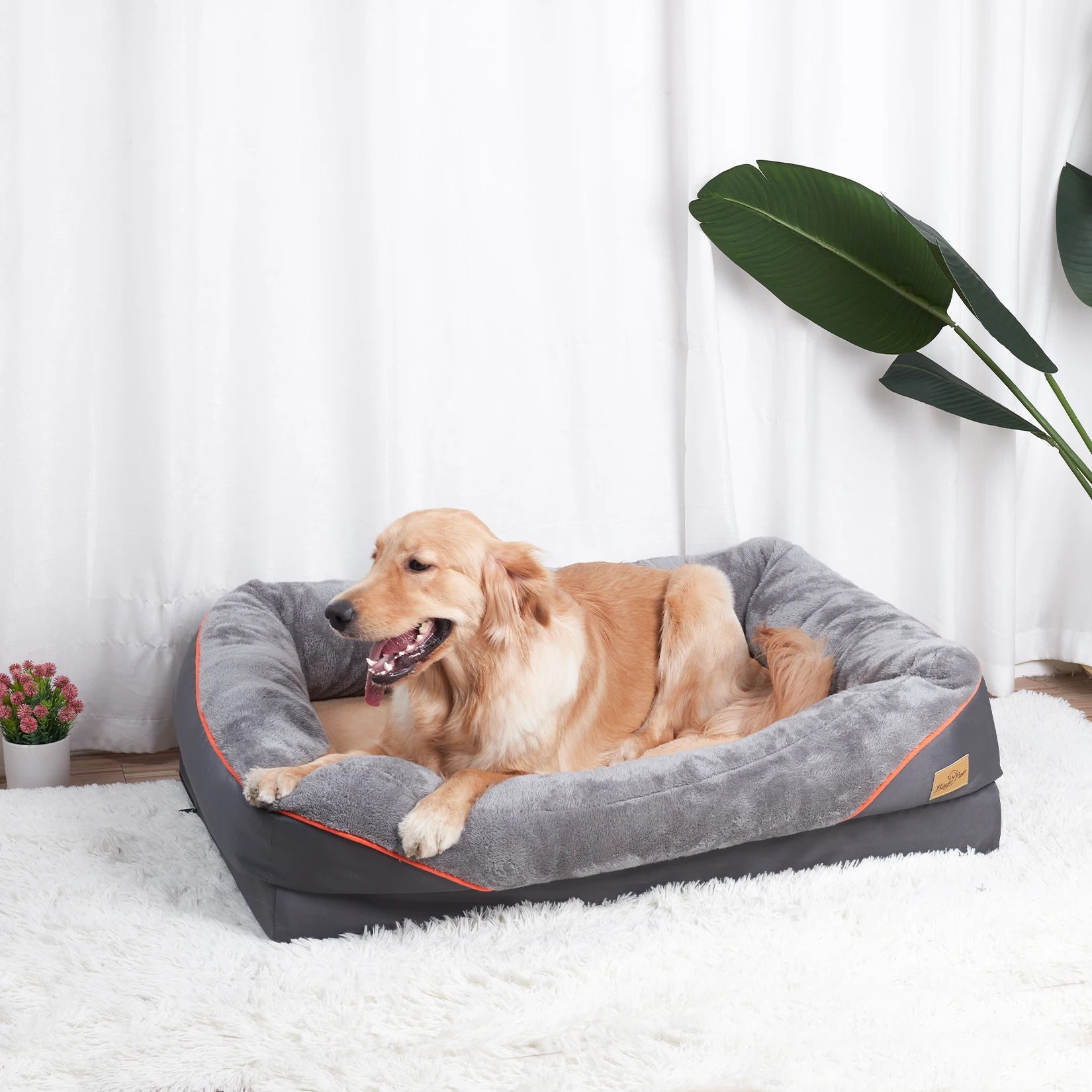 PawNest™ Cozy Orthopedic Dog Bed – Soft, Washable & Anti-Allergy